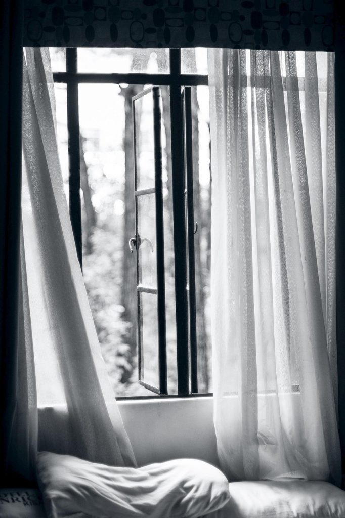 window, lace, curtain, black, white, trees, nature, bedroom
