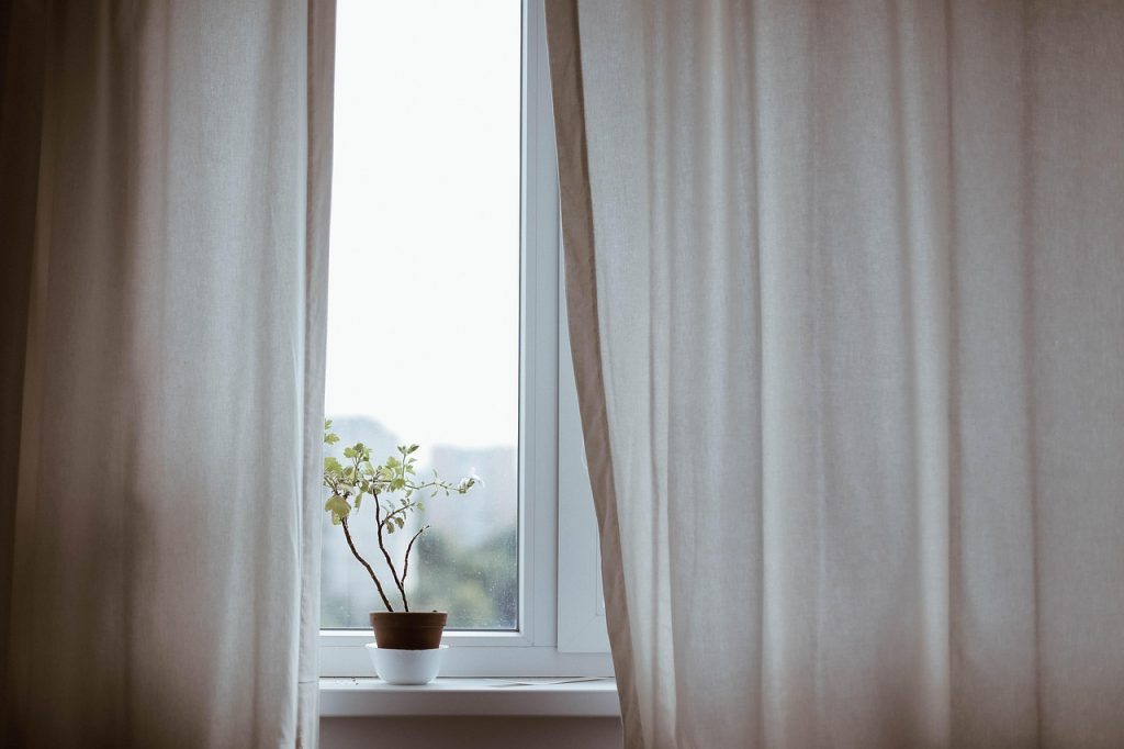 curtains, decoration, nature, indoors, plant, potted plant, window, minimalist, minimalistic, interior decoration, indoor plant