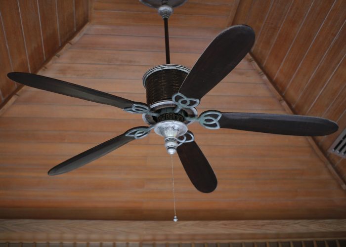 fan, wind, ceiling, fan, fan, fan, fan, fan